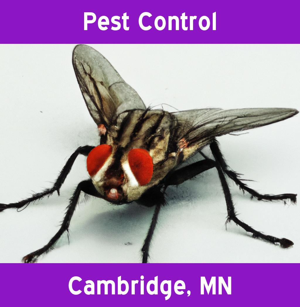 pest control in Cambridge Minnesota