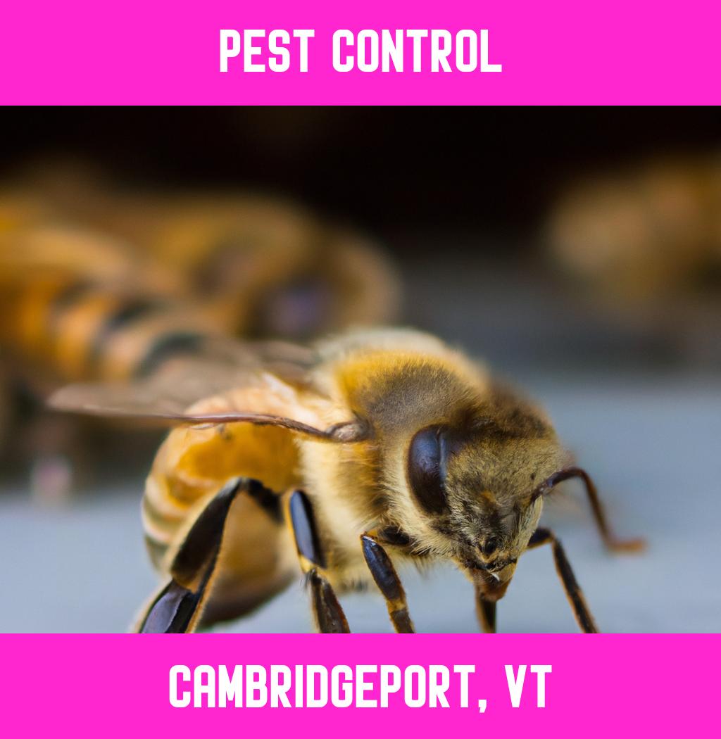 pest control in Cambridgeport Vermont
