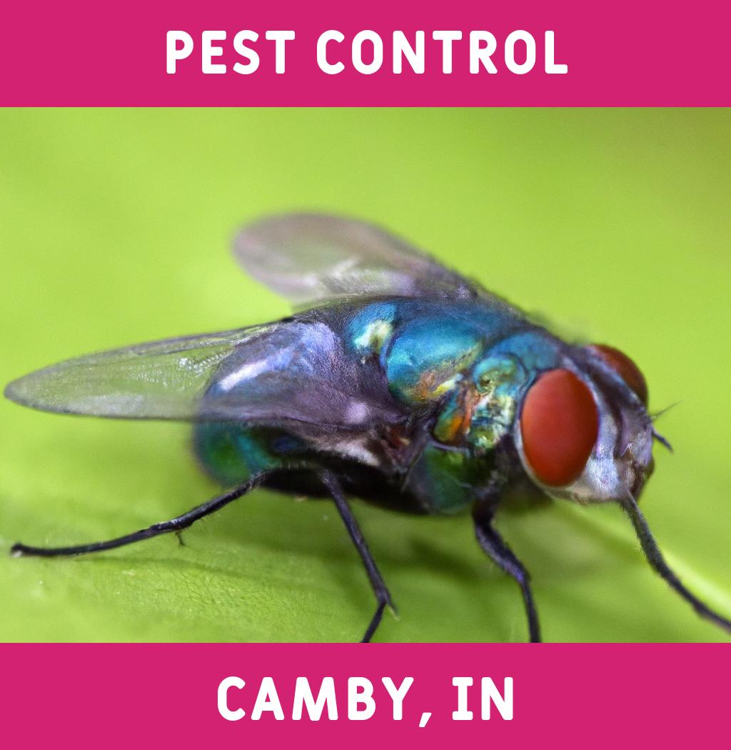 pest control in Camby Indiana