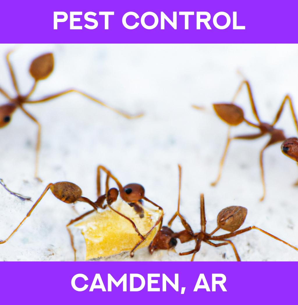 pest control in Camden Arkansas