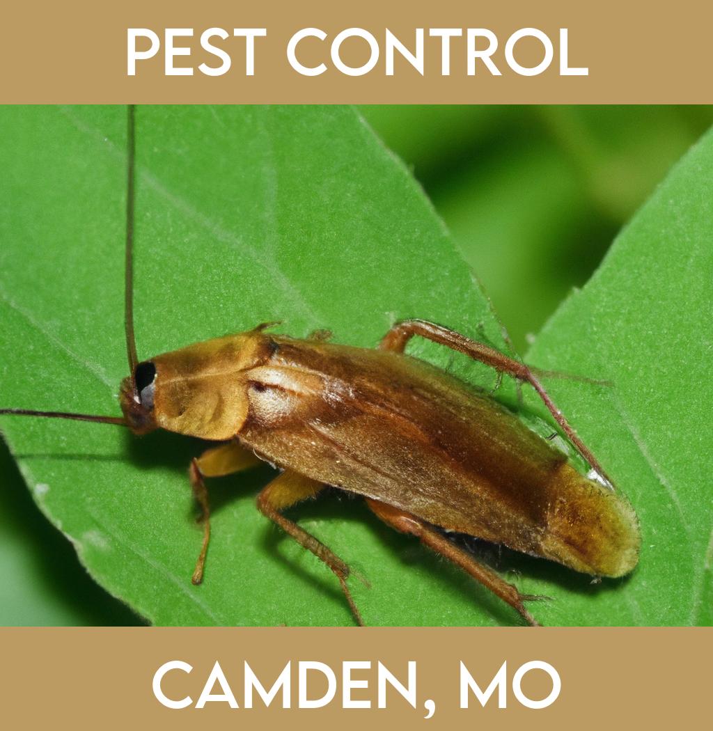 pest control in Camden Missouri