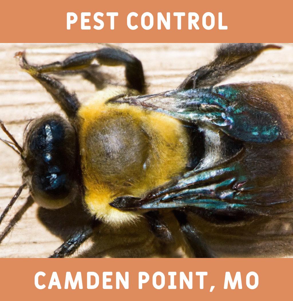 pest control in Camden Point Missouri