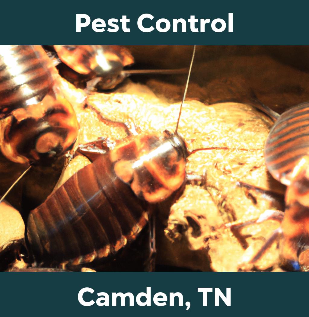 pest control in Camden Tennessee