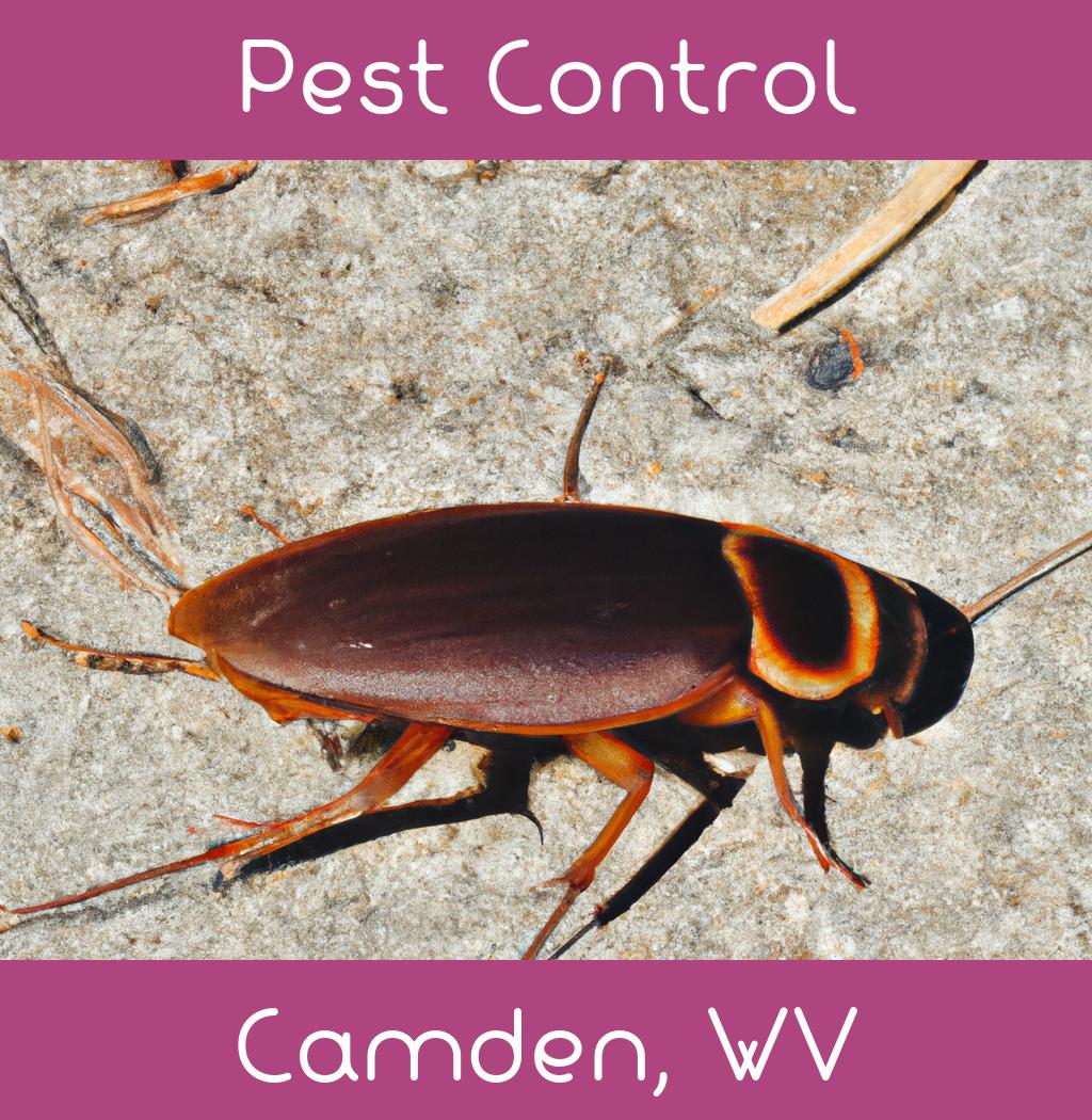 pest control in Camden West Virginia