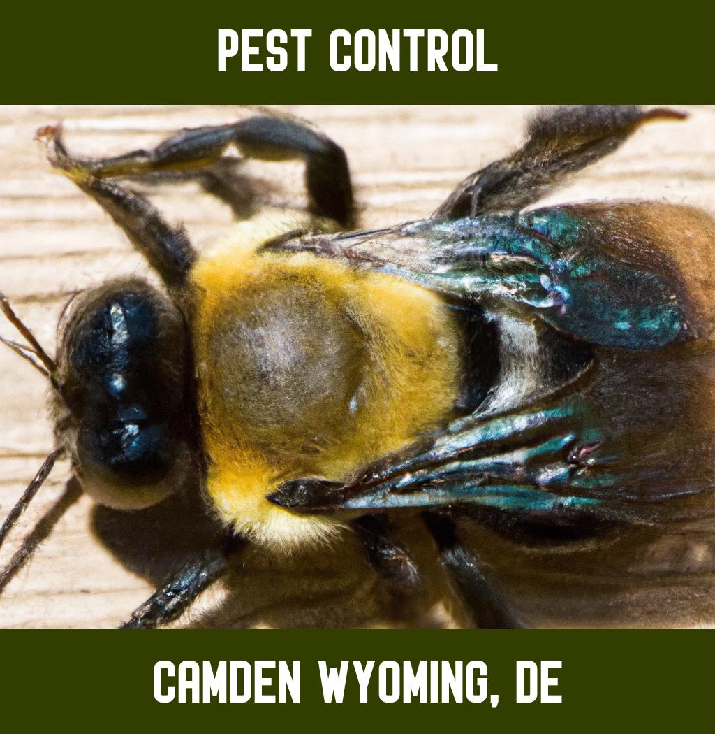pest control in Camden Wyoming Delaware