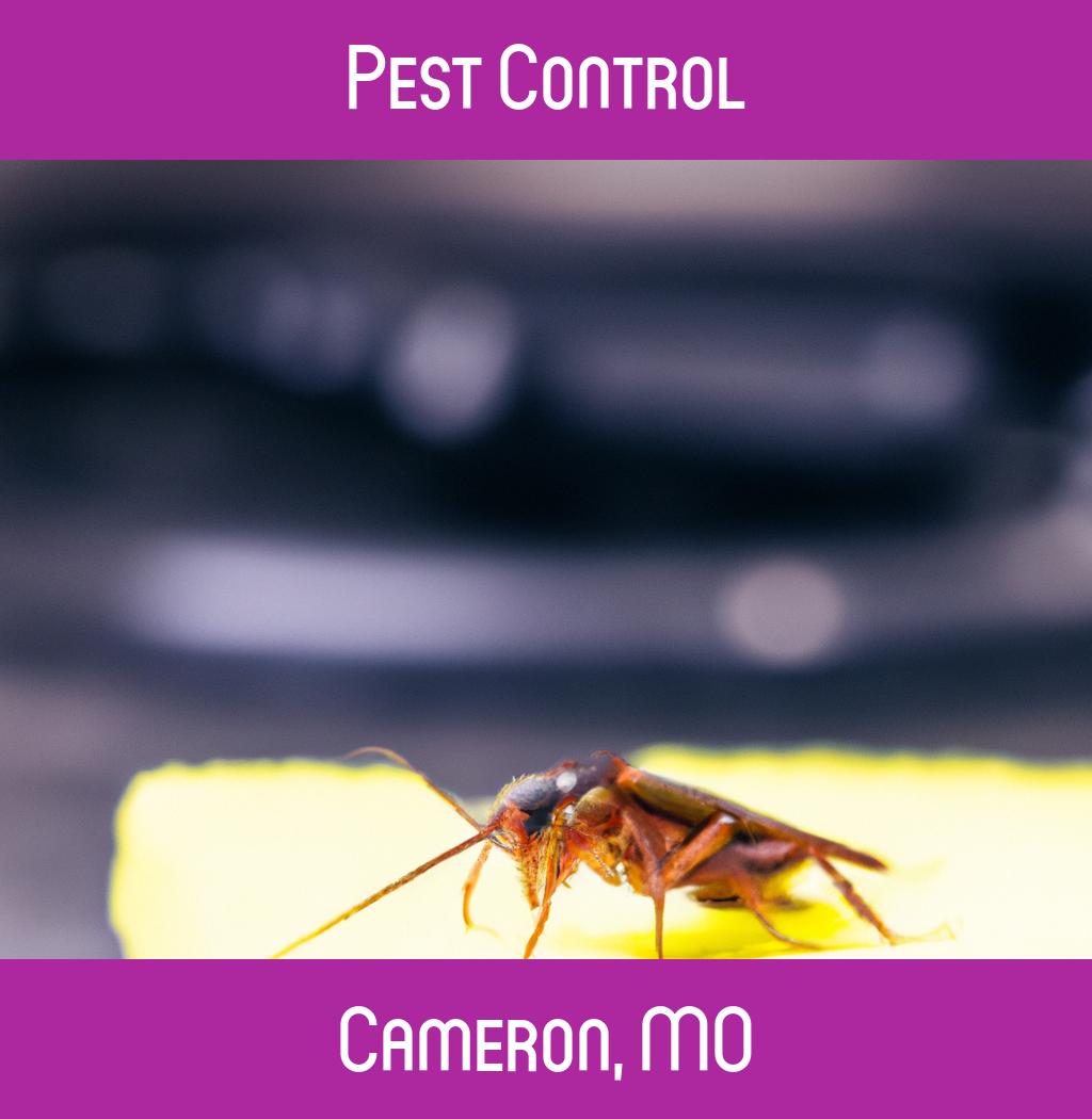 pest control in Cameron Missouri