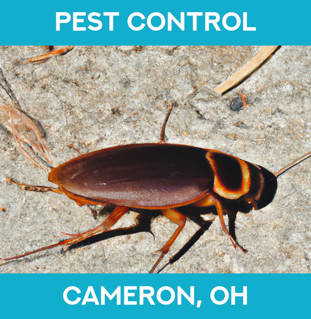 pest control in Cameron Ohio