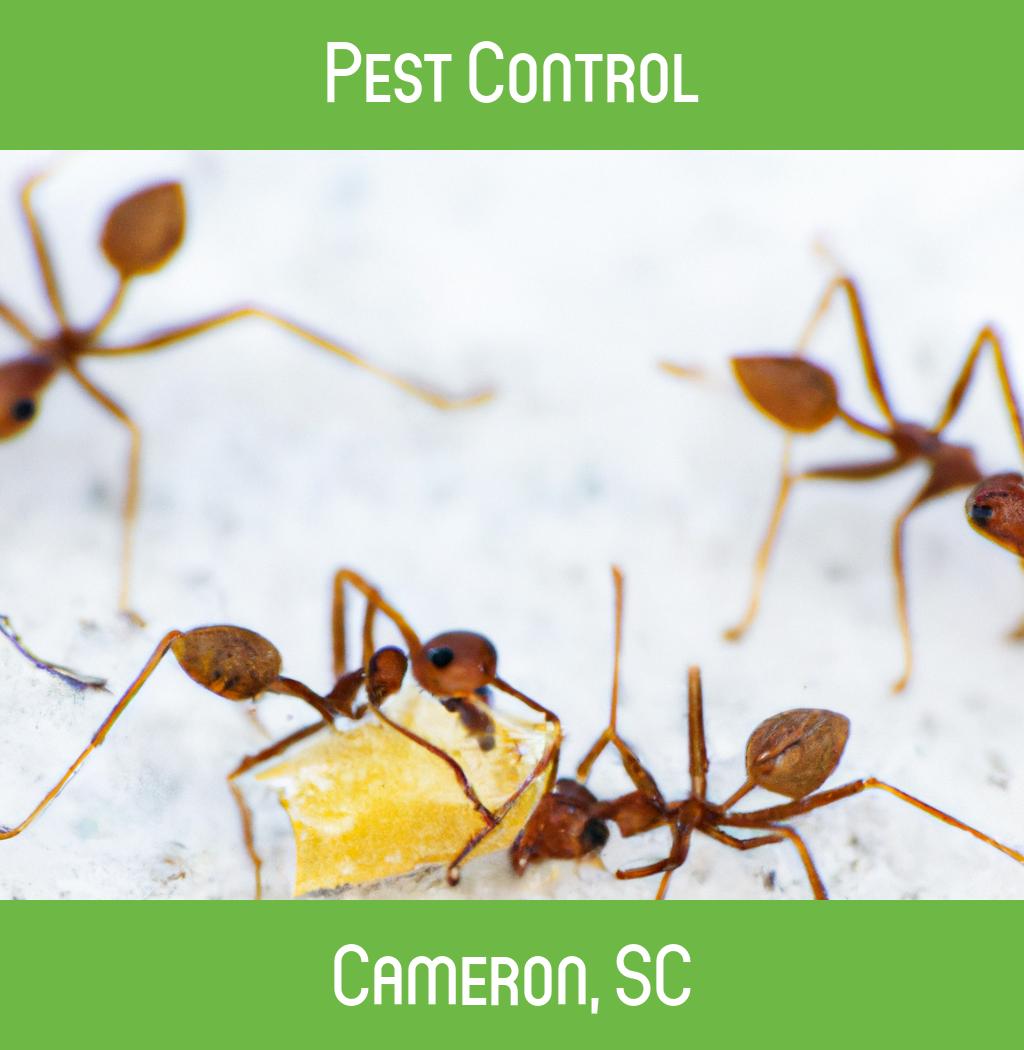 pest control in Cameron South Carolina
