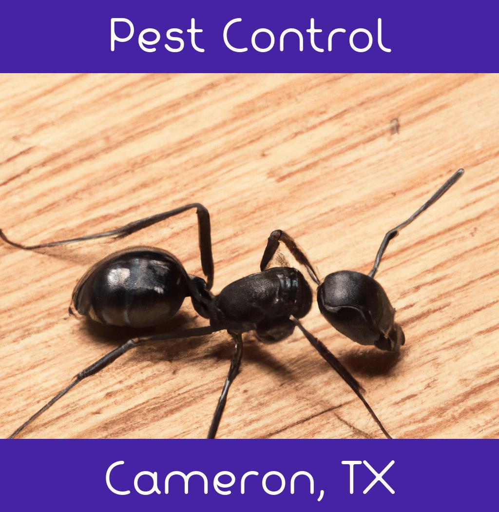 pest control in Cameron Texas