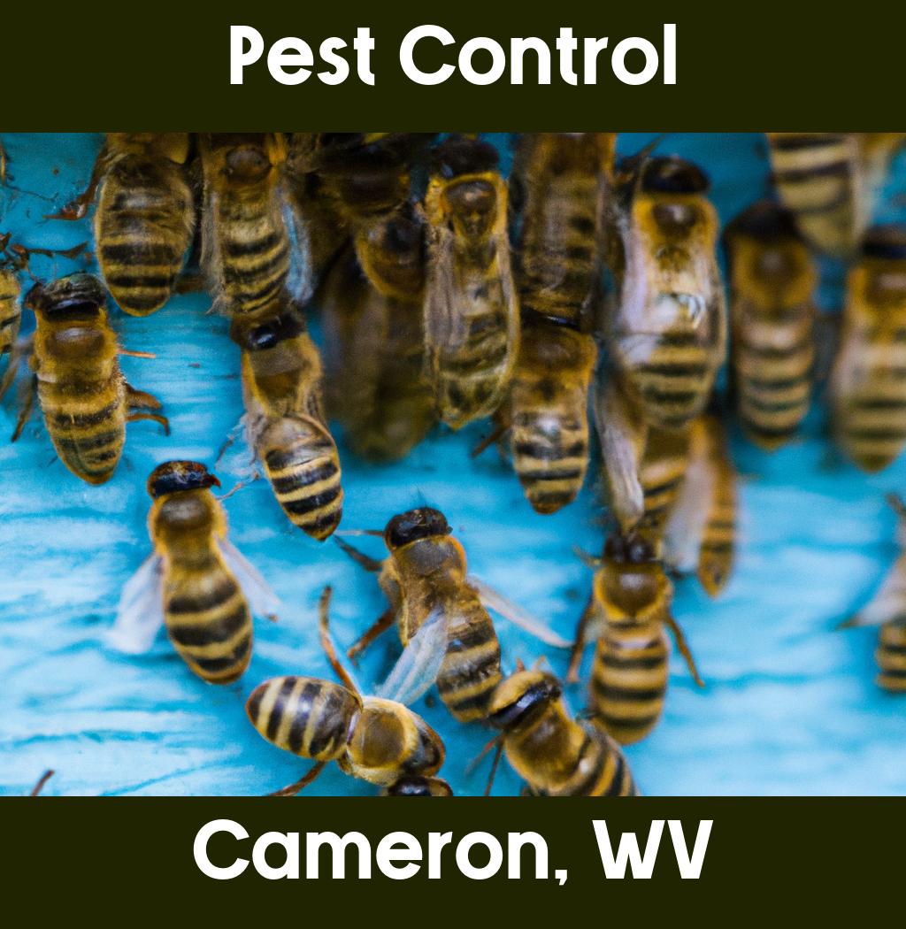 pest control in Cameron West Virginia