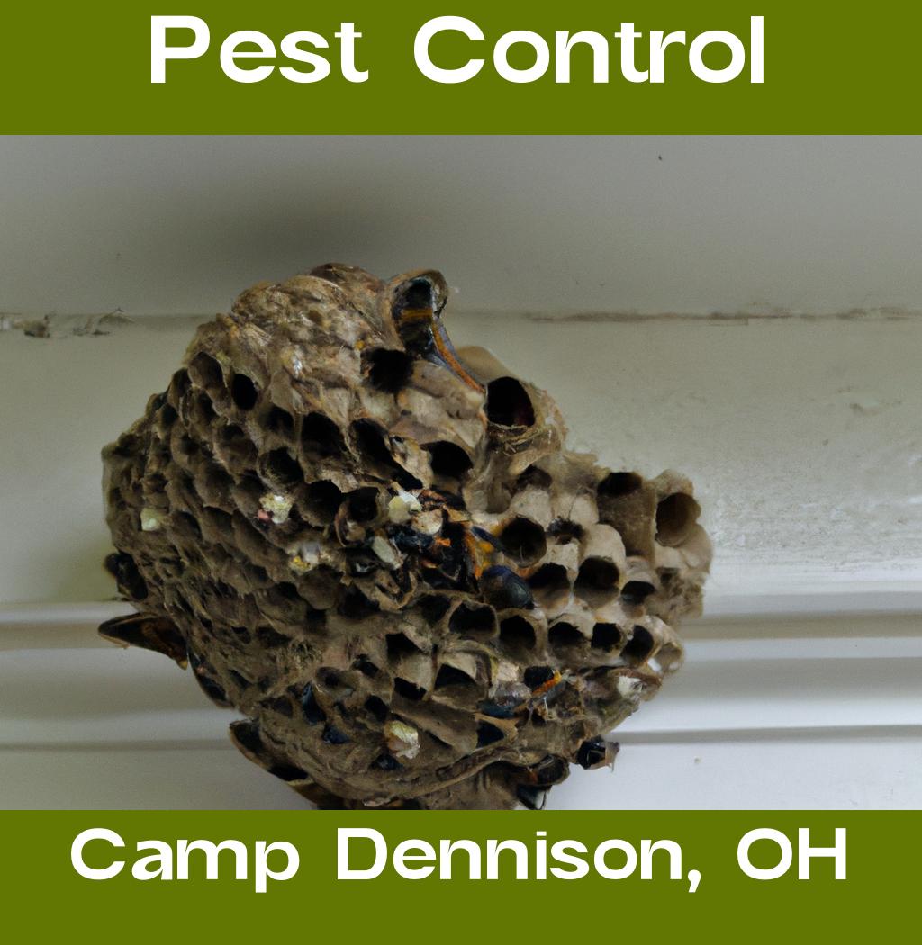 pest control in Camp Dennison Ohio