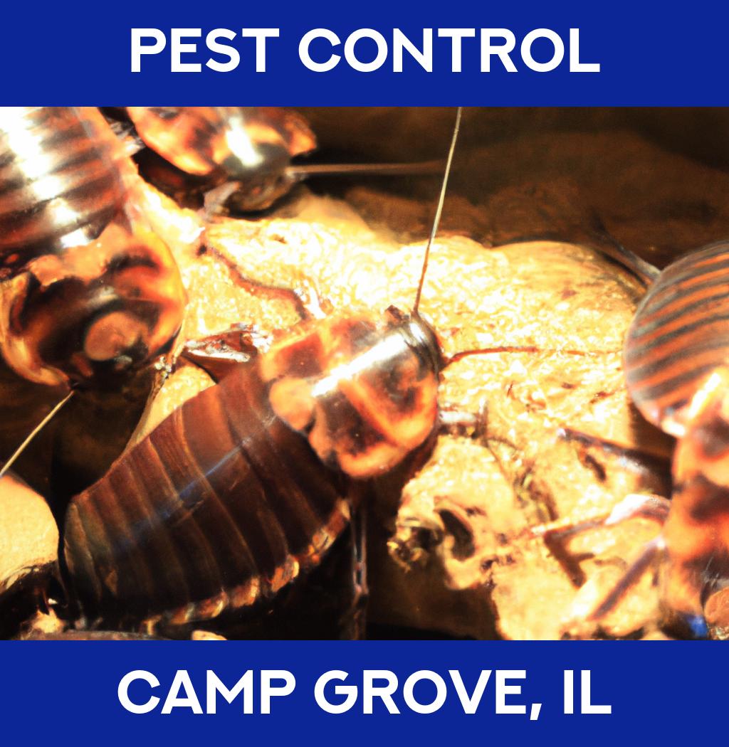 pest control in Camp Grove Illinois