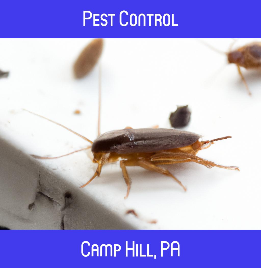 pest control in Camp Hill Pennsylvania