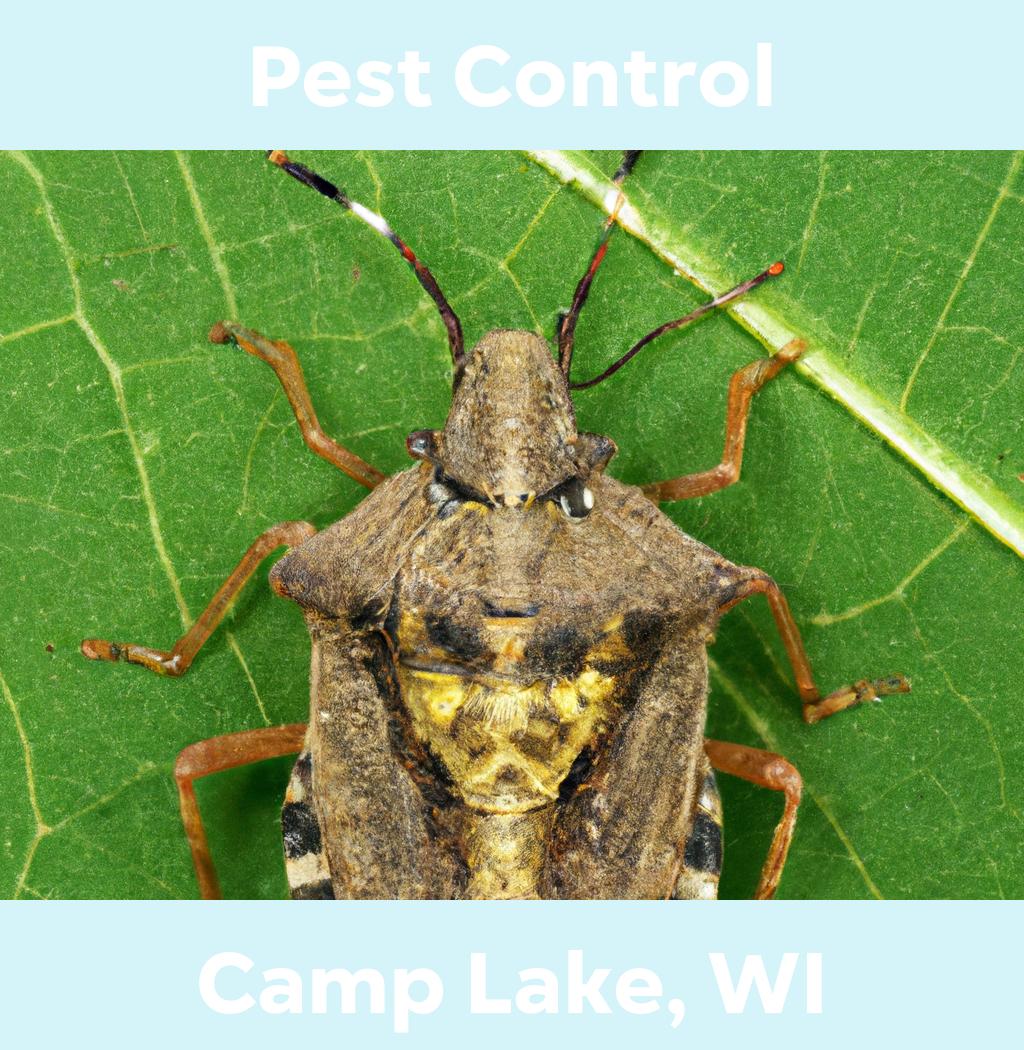 pest control in Camp Lake Wisconsin