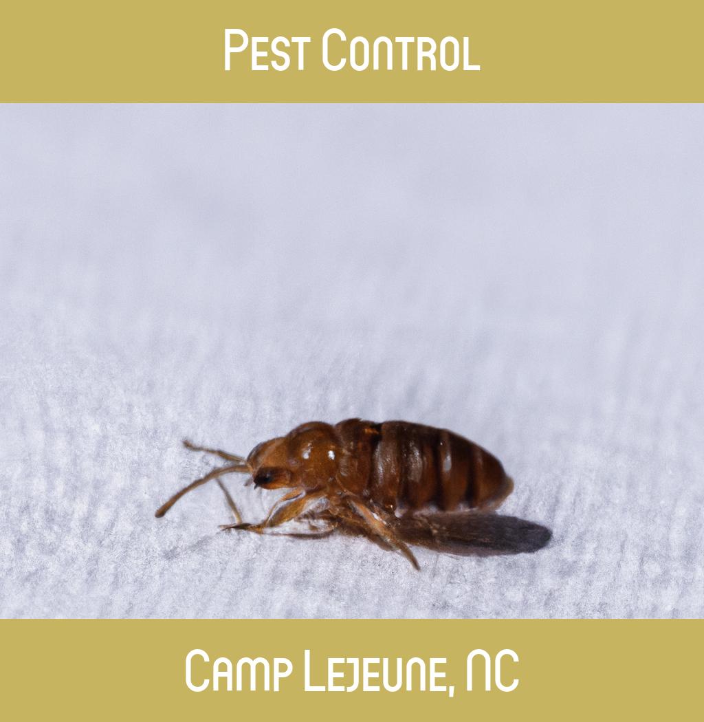 pest control in Camp Lejeune North Carolina