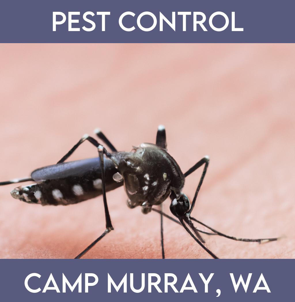 pest control in Camp Murray Washington
