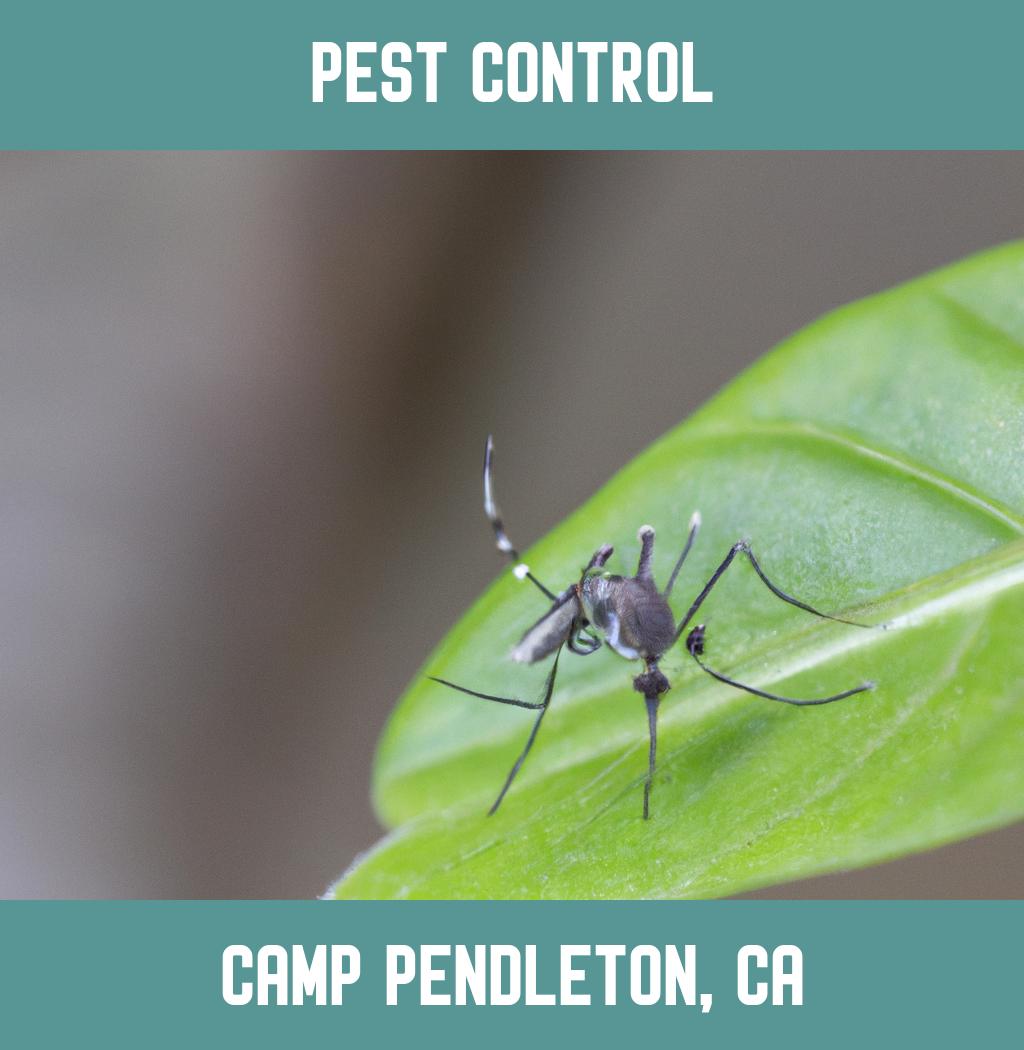 pest control in Camp Pendleton California