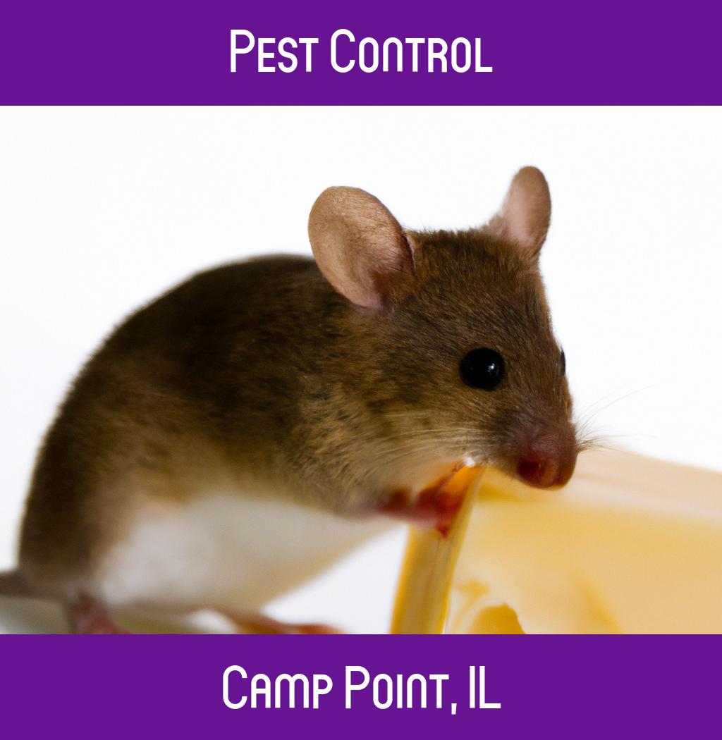 pest control in Camp Point Illinois