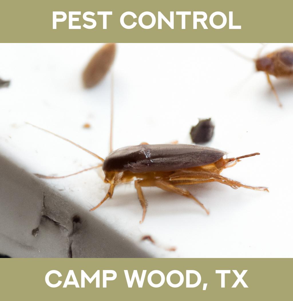 pest control in Camp Wood Texas