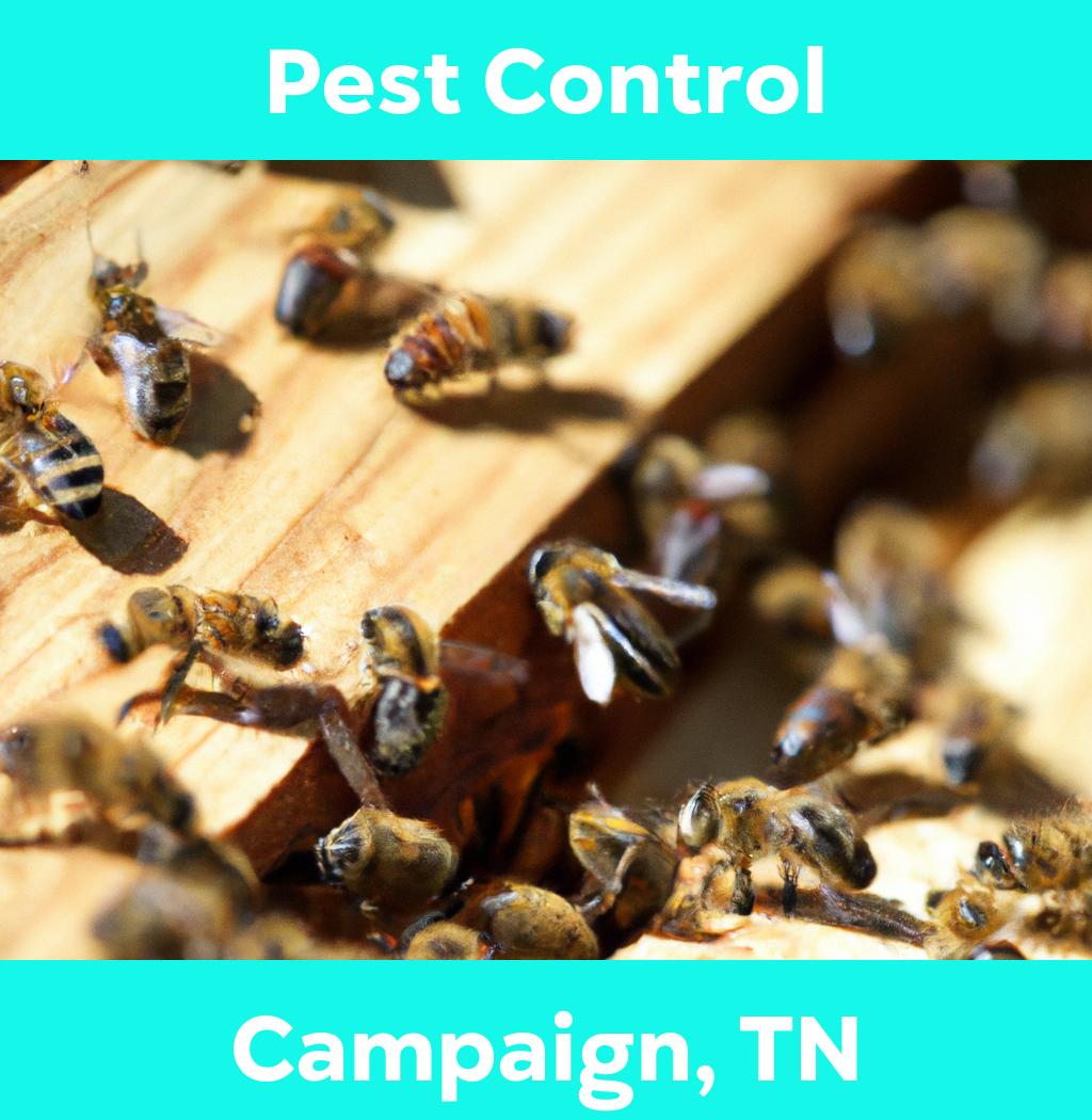 pest control in Campaign Tennessee