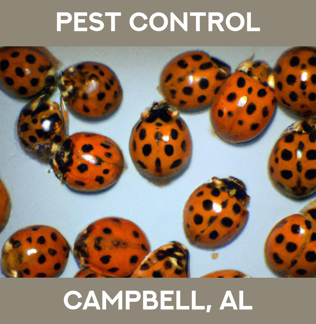 pest control in Campbell Alabama
