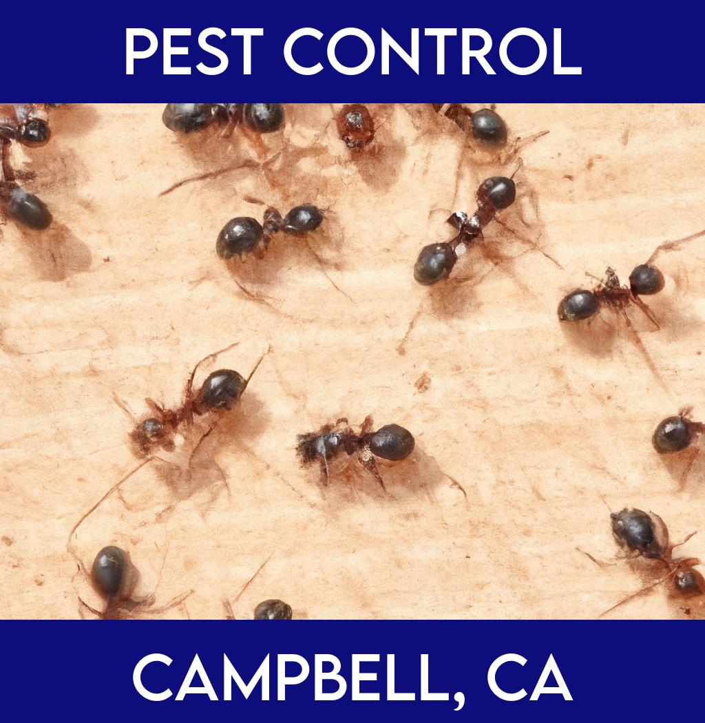 pest control in Campbell California