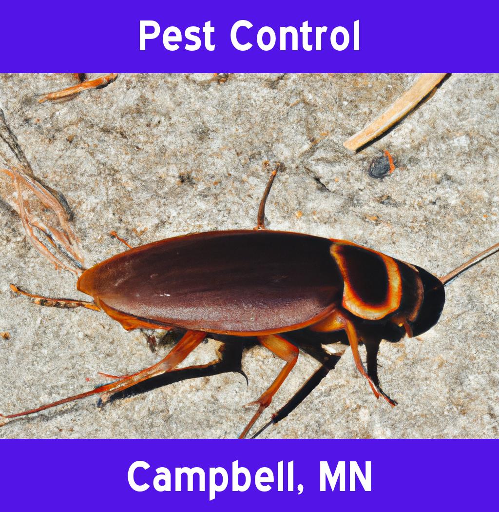pest control in Campbell Minnesota