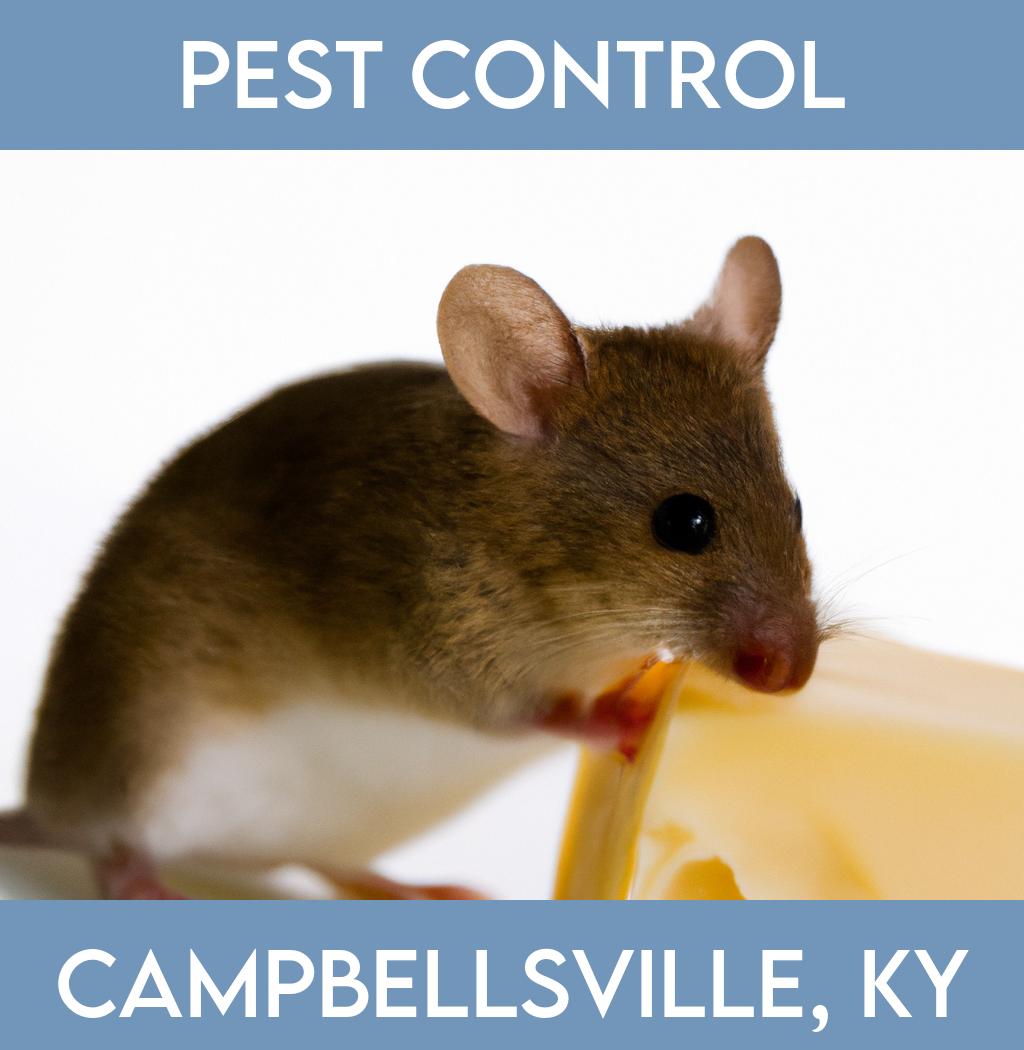 pest control in Campbellsville Kentucky