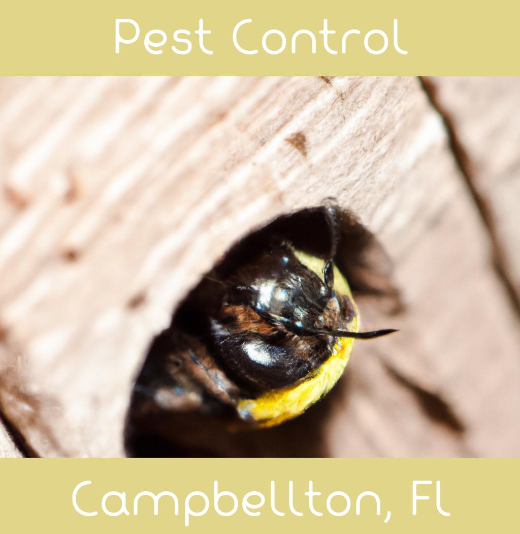 pest control in Campbellton Florida