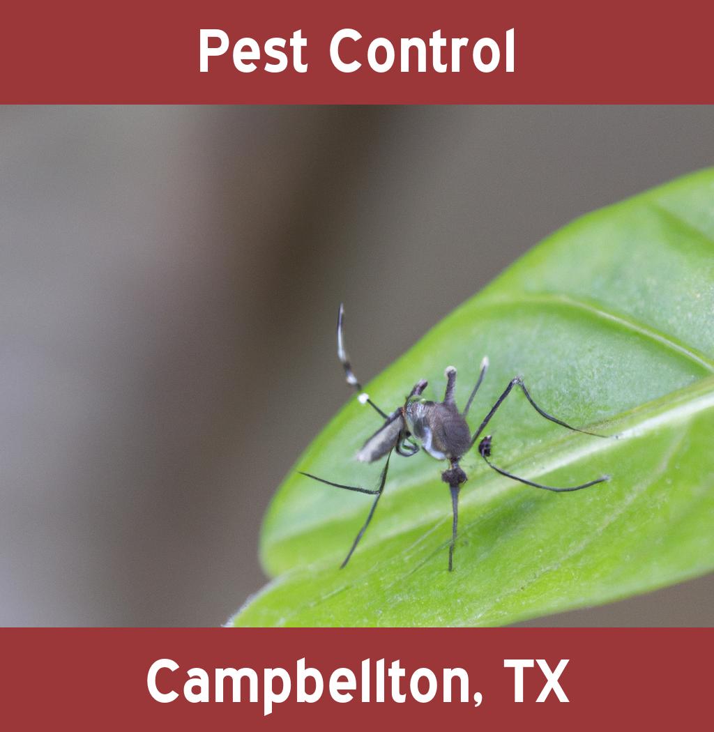 pest control in Campbellton Texas