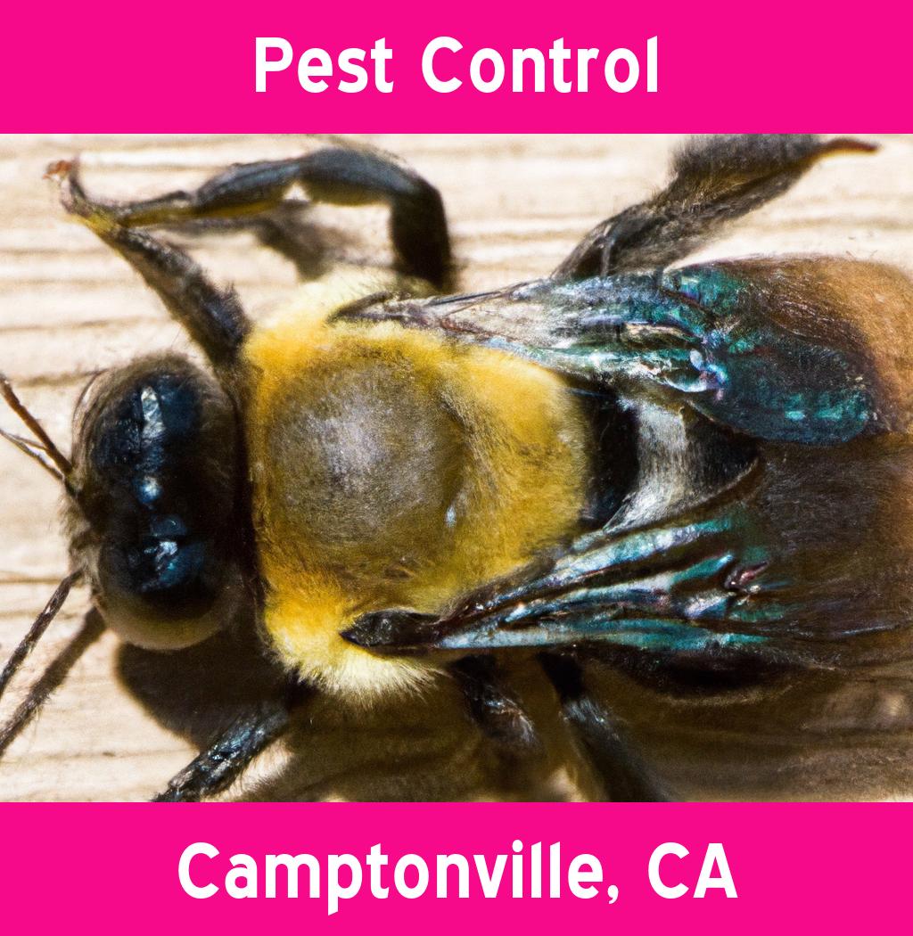 pest control in Camptonville California