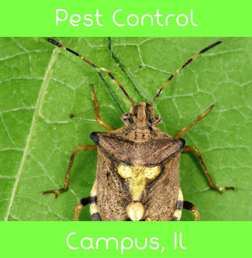 pest control in Campus Illinois