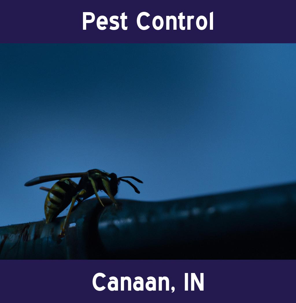 pest control in Canaan Indiana