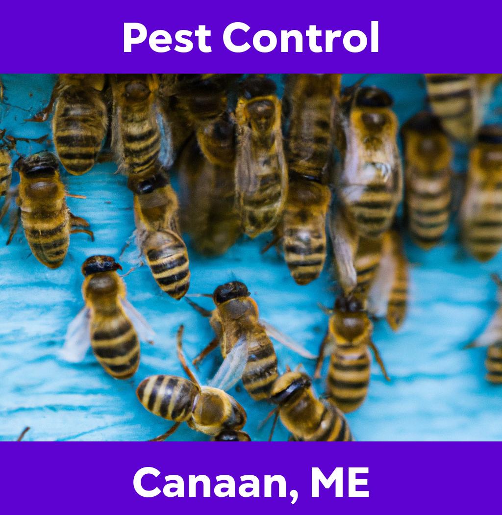 pest control in Canaan Maine