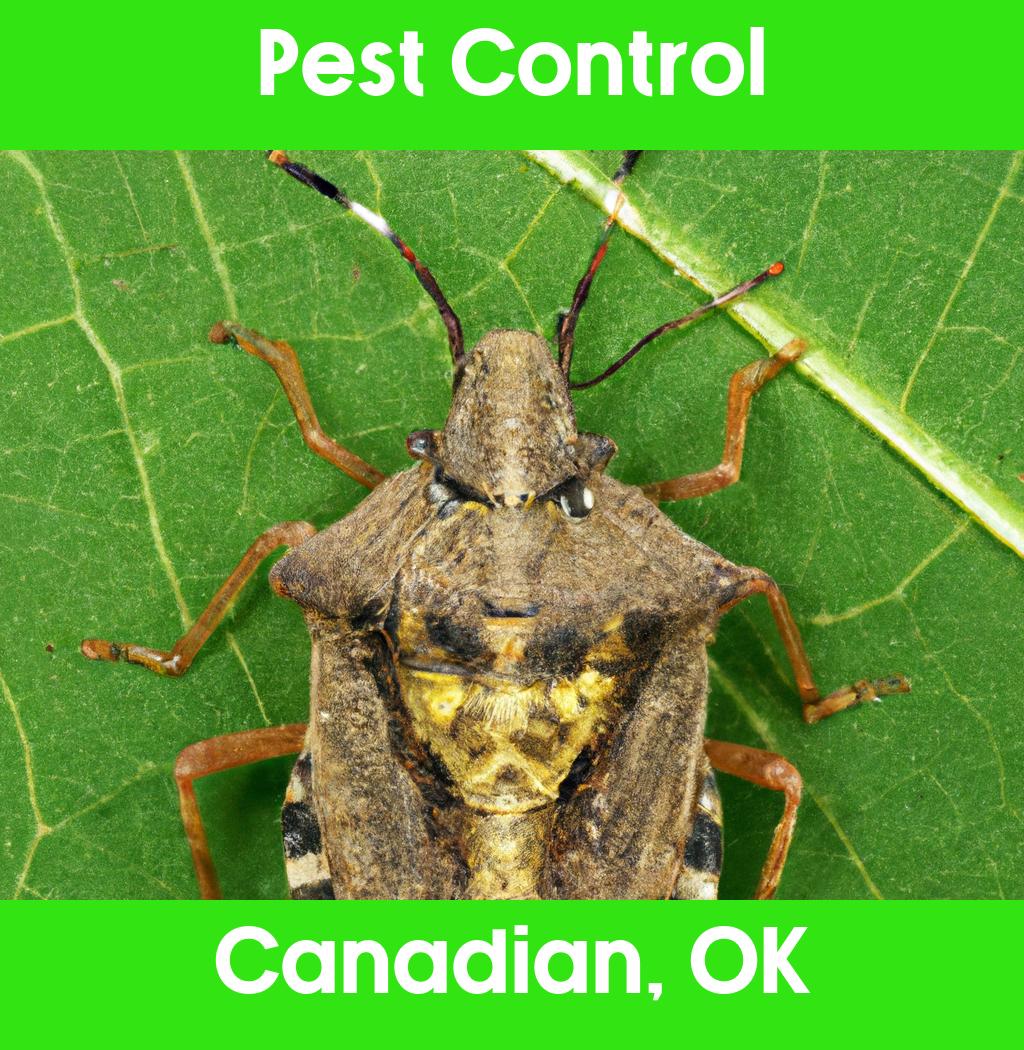pest control in Canadian Oklahoma