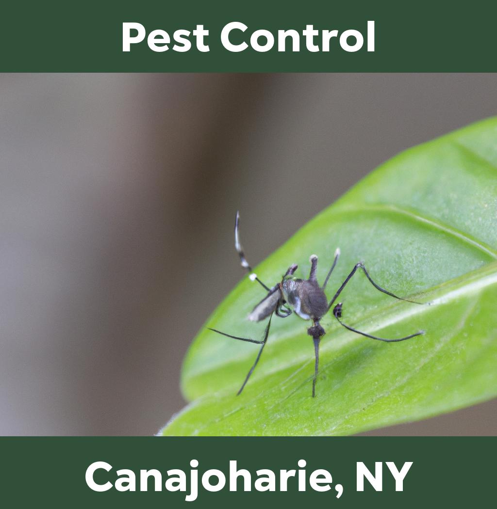 pest control in Canajoharie New York
