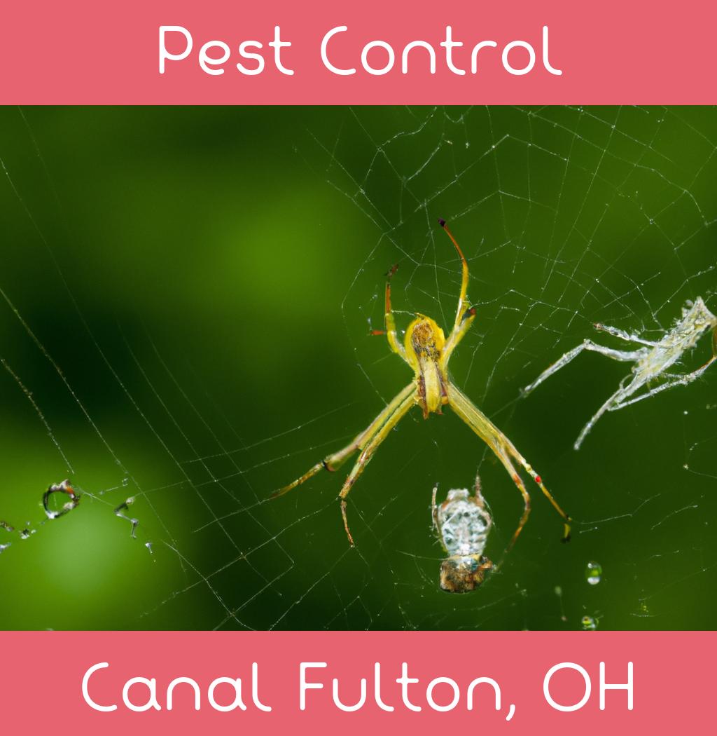 pest control in Canal Fulton Ohio