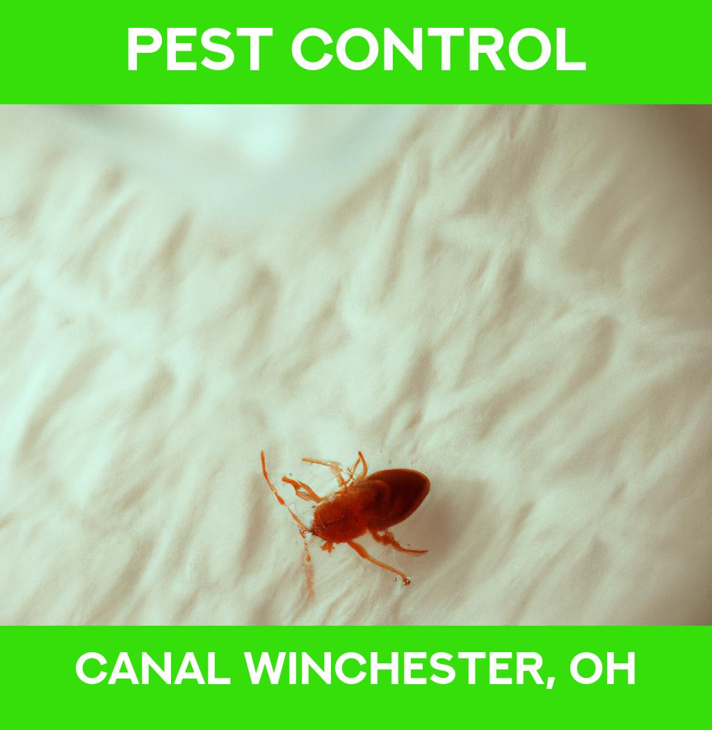 pest control in Canal Winchester Ohio
