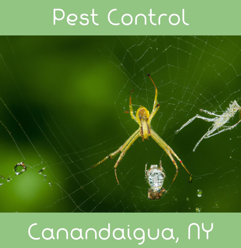 pest control in Canandaigua New York