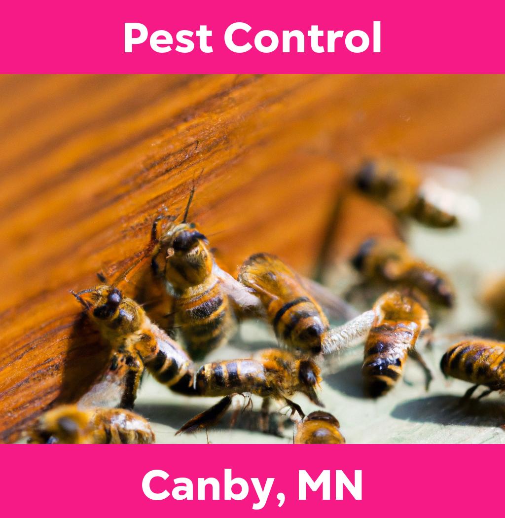 pest control in Canby Minnesota
