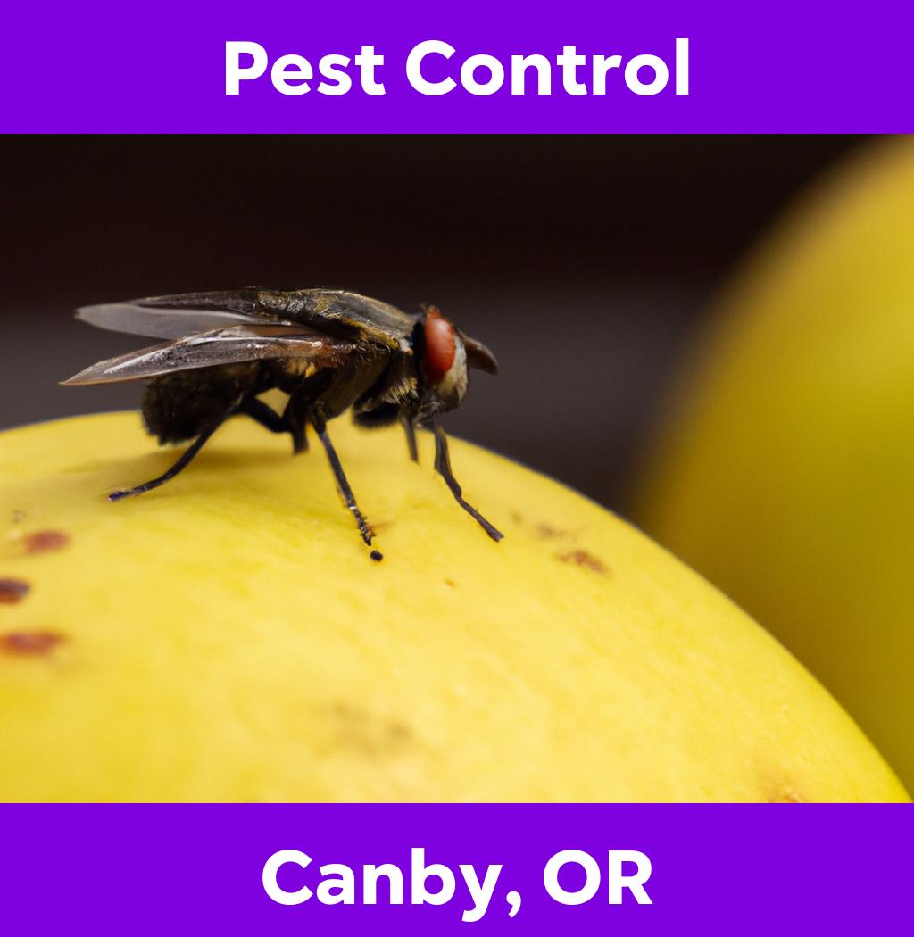 pest control in Canby Oregon