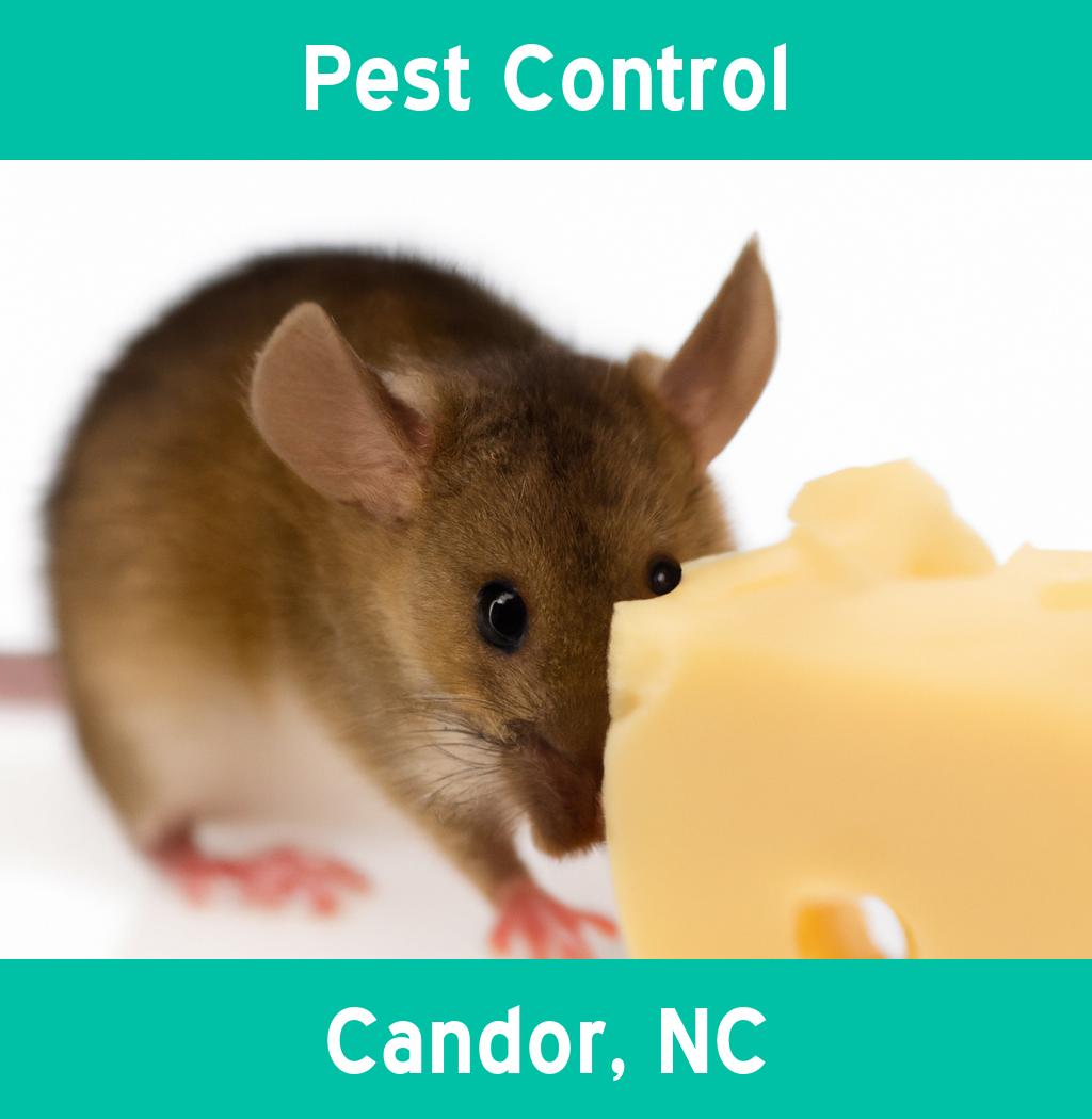 pest control in Candor North Carolina