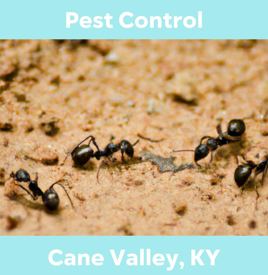 pest control in Cane Valley Kentucky