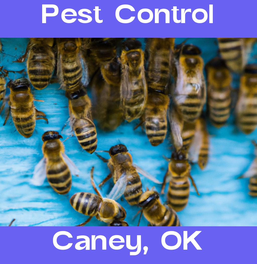 pest control in Caney Oklahoma