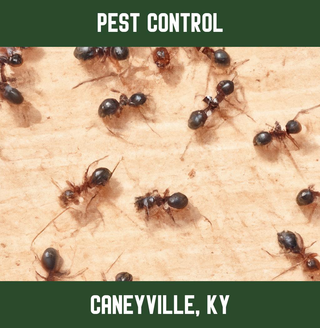 pest control in Caneyville Kentucky