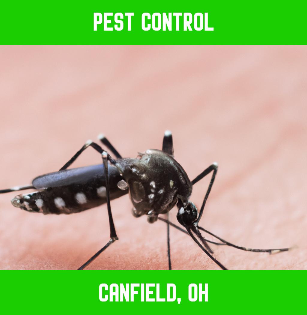 pest control in Canfield Ohio