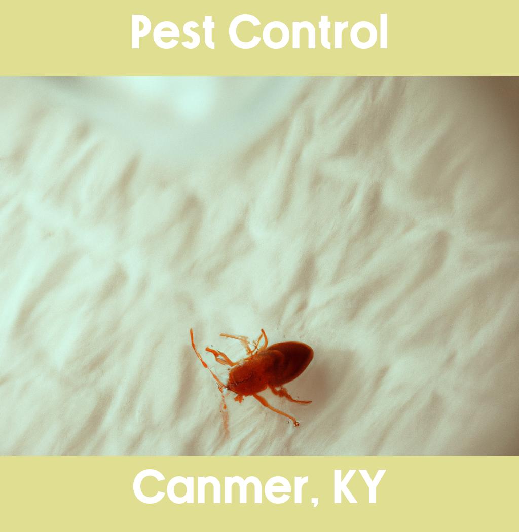 pest control in Canmer Kentucky