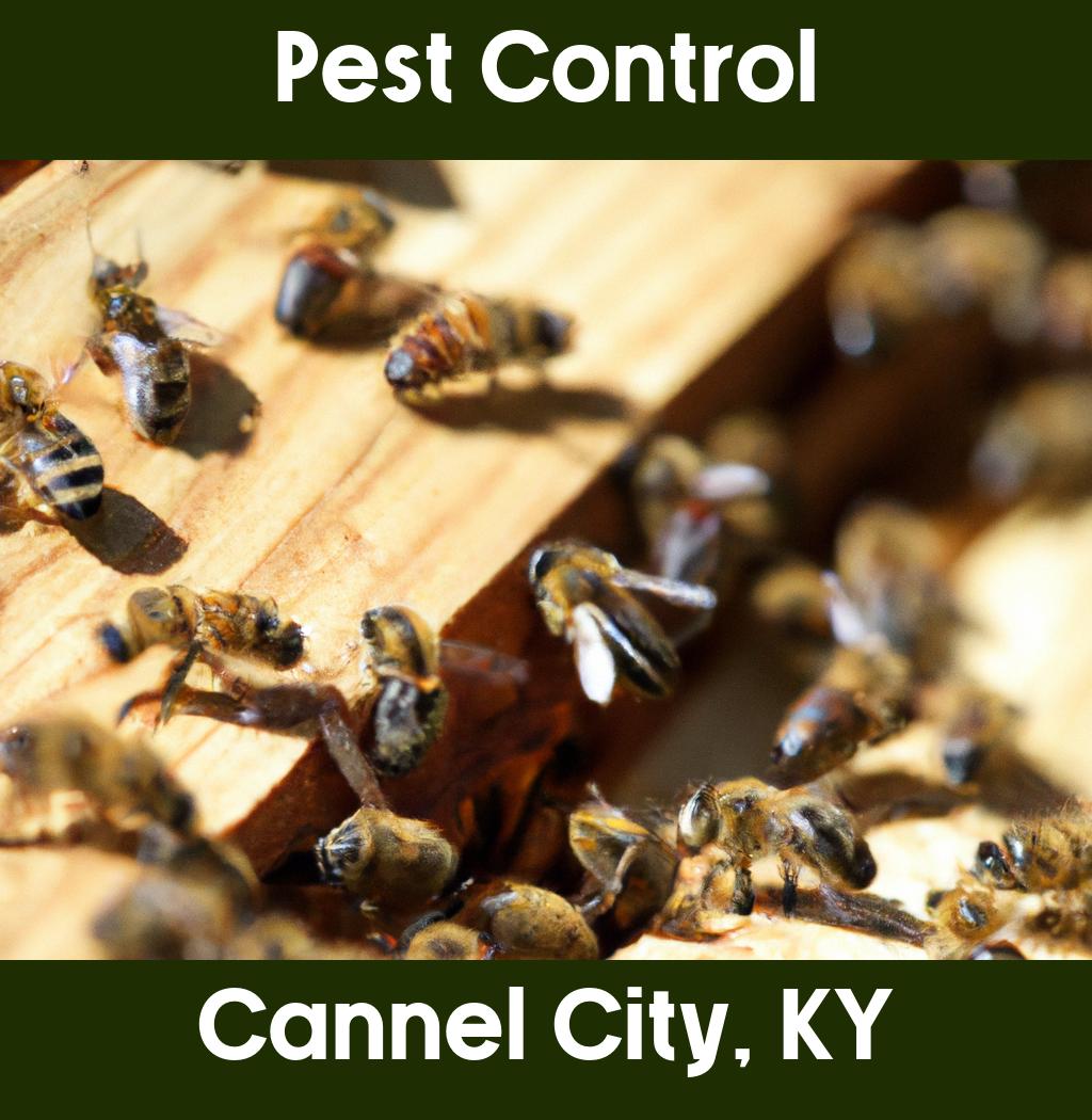 pest control in Cannel City Kentucky