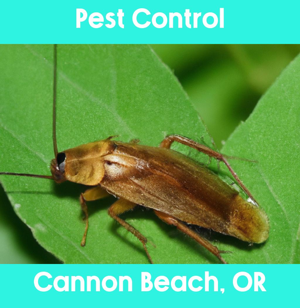 pest control in Cannon Beach Oregon