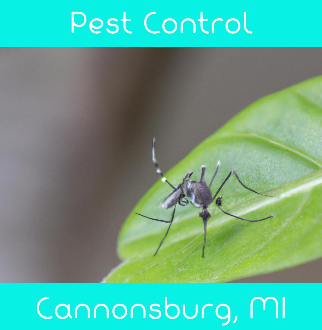 pest control in Cannonsburg Michigan